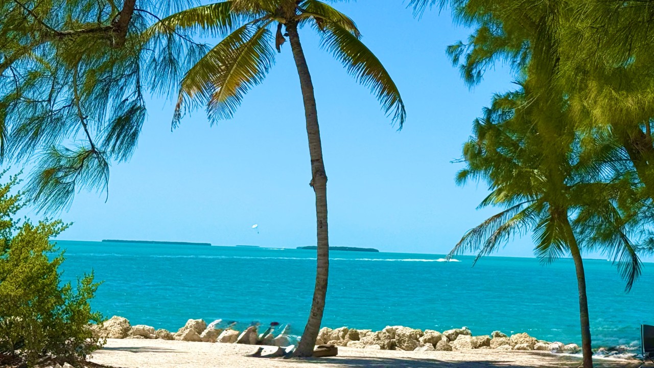 The 4 P’s That Give Me Power